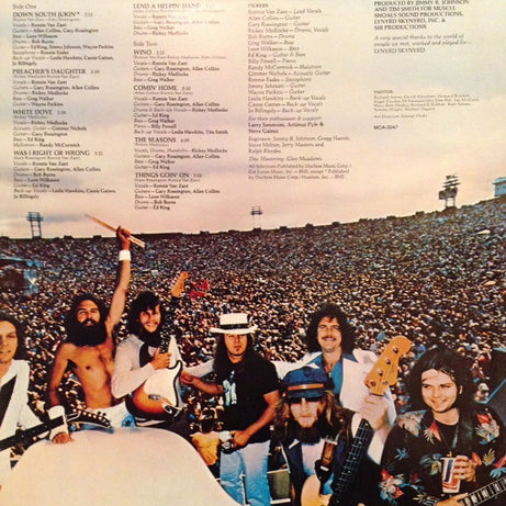 Lynyrd Skynyrd : Skynyrd's First And... Last (LP, Album)